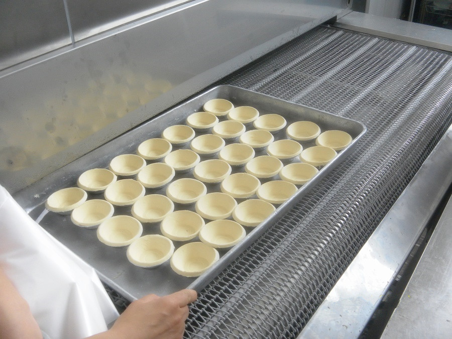 China High Quality FSW200 Tunnel Freezer for Dumplings Processing