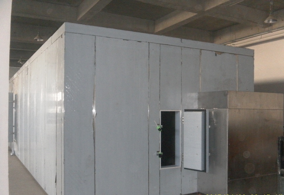 Fluidized Iqf Freezer 3000kg/h Հեղուկացված մահճակալ սառնարան /տարբեր բանջարեղենի և մրգերի սառեցում