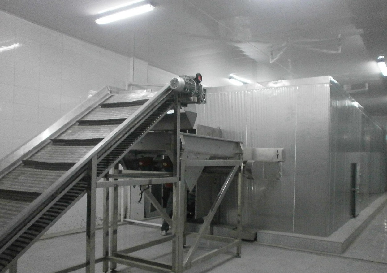 Individually Quick Freezer IQF Freezer / Fluidized Bed Freezer Machinery 300kg/h For Frozen Fruits