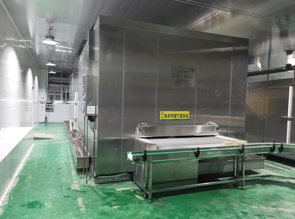 N&aacute;razov&aacute; mraznička