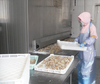 China High Quality iqf freezing process for Shrimp Processing 1000kg/h 