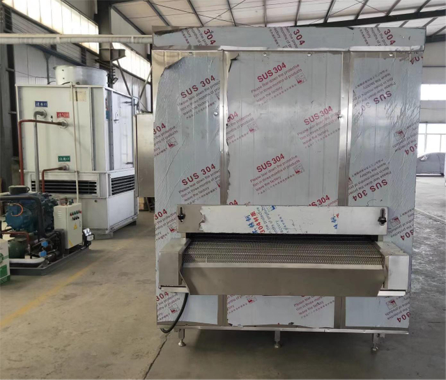 中國第一冷鏈IQF隧道冰櫃FSW400與Freon冷藏系統用於各種冷凍食品