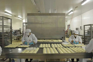 中國高品質 FYW300 隧道式冷卻機，用於快速冷卻食品加工