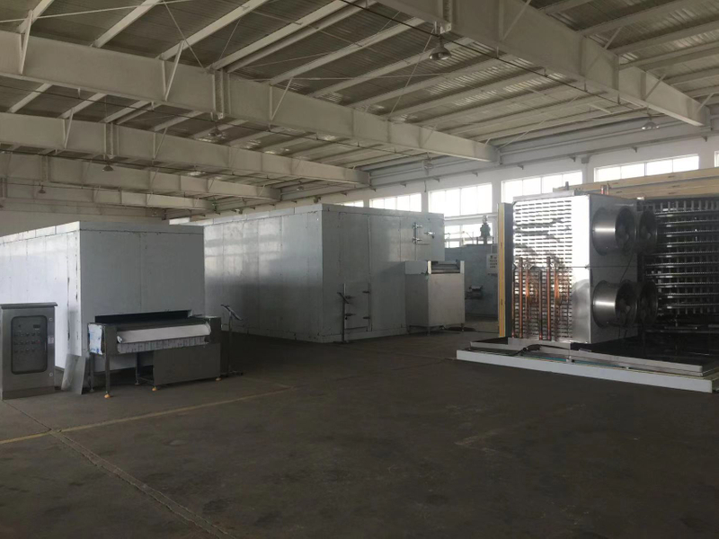 اولین بستر سیال با زنجیره سرد چین IQF فریزر 200-5000 کیلوگرم در ساعت برای منجمد سبزیجات و میوه ها