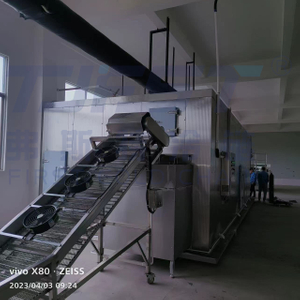 Փորձեք FSLD2000 Fluidized Bed IQF սառցարանը՝ ձեր լուծումը հեղափոխական մրգերի և բանջարեղենի IQF գործընթացի համար