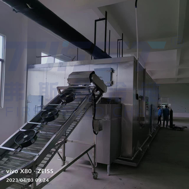 Ervaar de FSLD2000 gefluïdiseerd bed IQF -vriezer - Uw oplossing voor revolutionair fruit- en groent IQF -proces