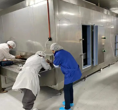 炸食品的专业隧道冷却器
