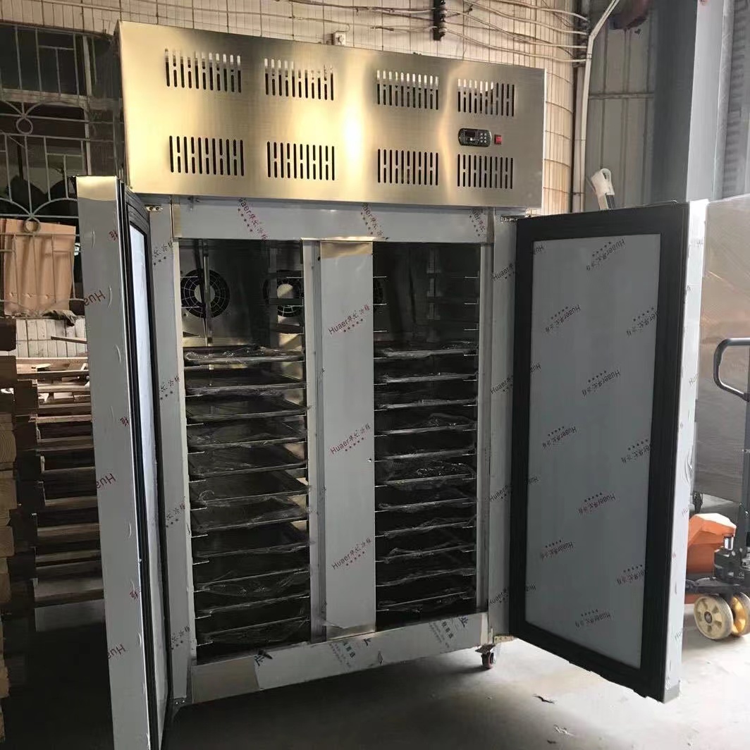 Batch Freezer 22 Trays Or 30 Trays Suitable for Small Factory Or Cake Room Product Freeze 