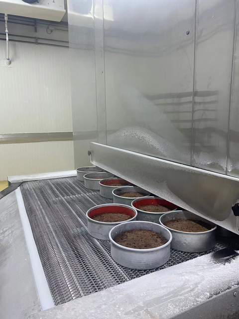 China Supplier Mesh Belt Tunnel Freezer/ Impingement Tunnel Freezer for Cake Freeze 