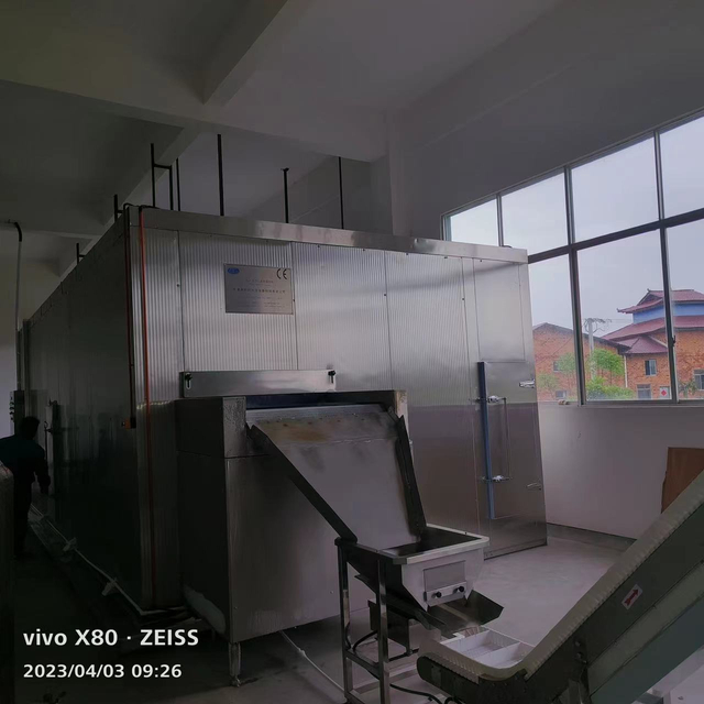 Bed Chất lỏng chất lượng cao IQF Freezer FSLD5000 IQF Tủ đông cho quả việt quất từ ​​chuỗi lạnh đầu tiên 